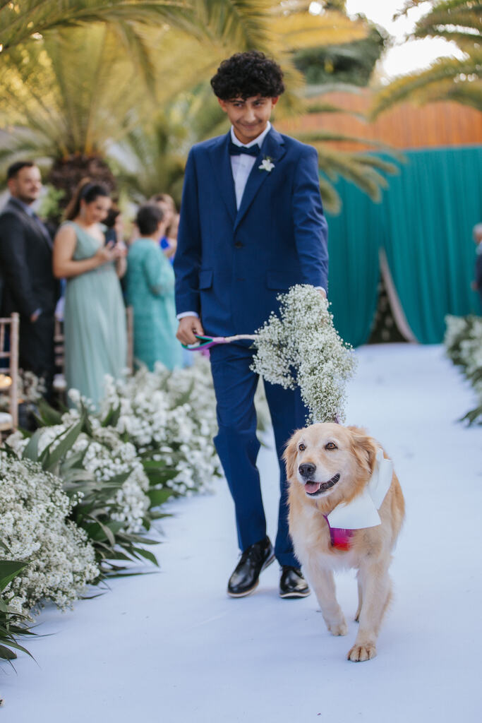 entrada do pajem com terno e cachorro