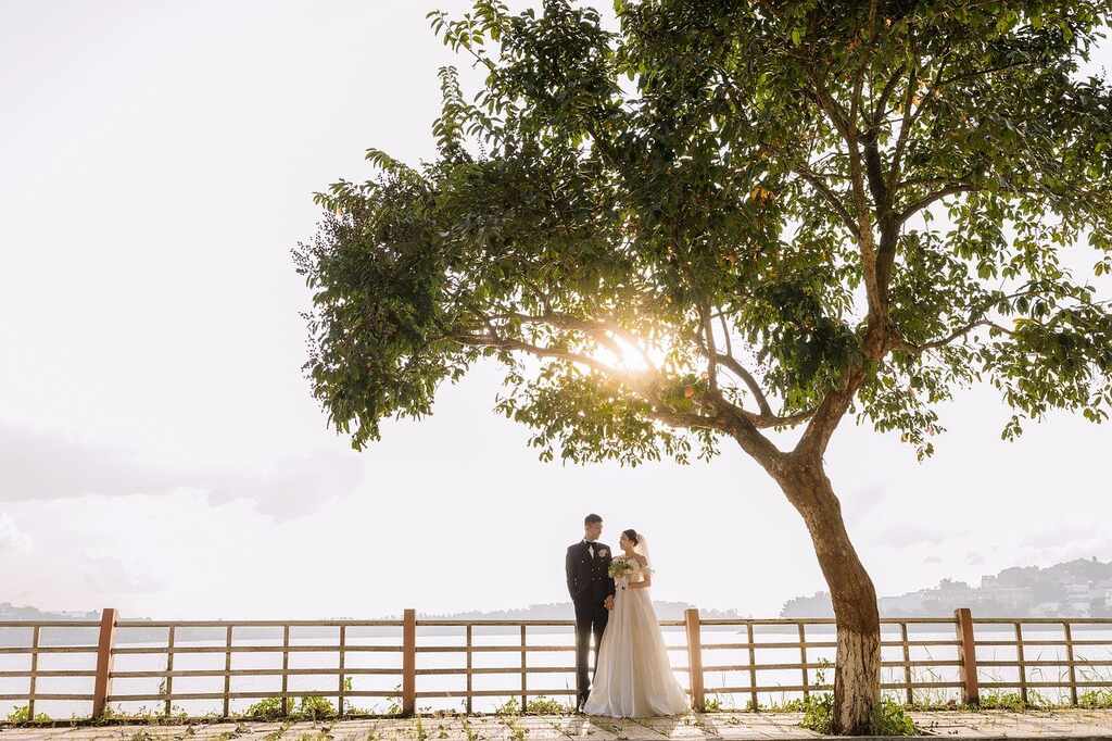 casal sob árvore no campo