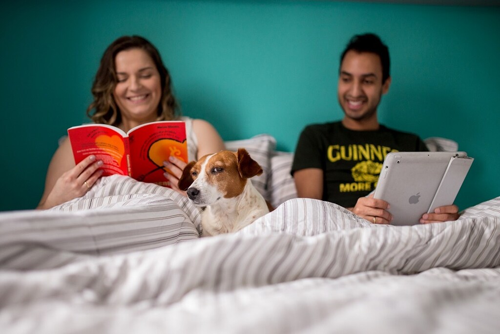 ensaio pre wedding em casa com casal na cama lendo livros na companhia de cachorro