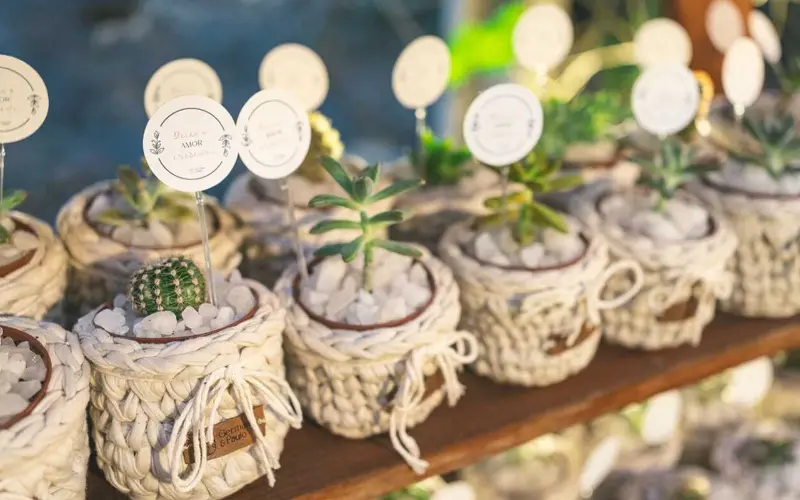 mini vasinhos de cactos e suculentas para lembrancinhas de casamento