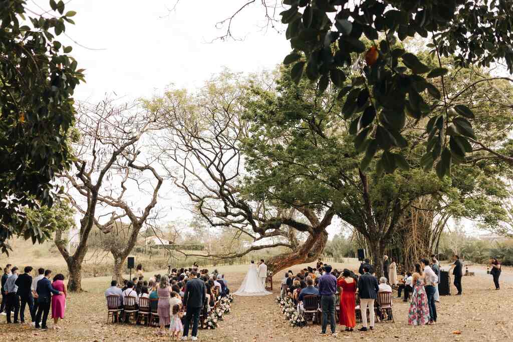 casamento debaixo de arvore