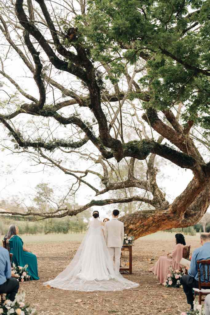 casamento sob árvore