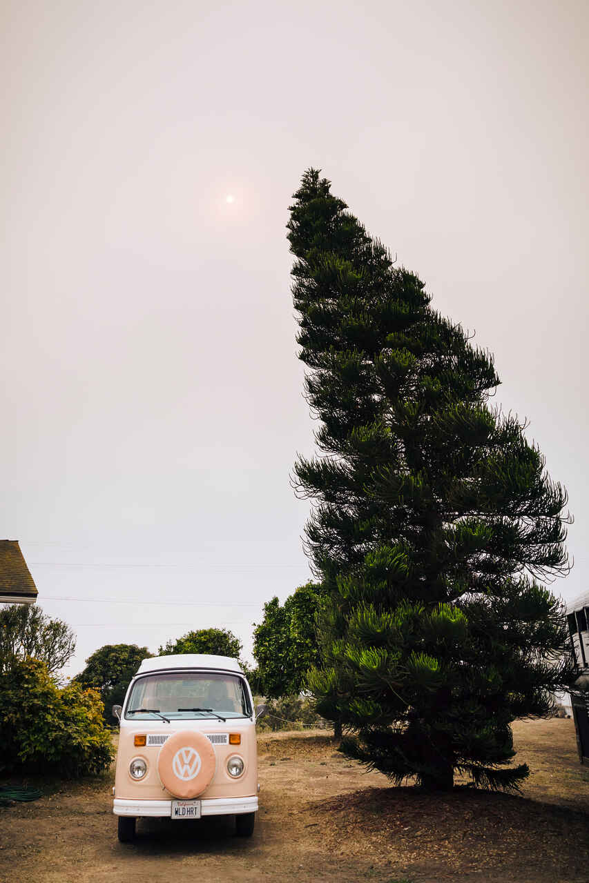 Uma Kombi clássica estacionada sob uma grande árvore, com um toque vintage em um cenário natural.