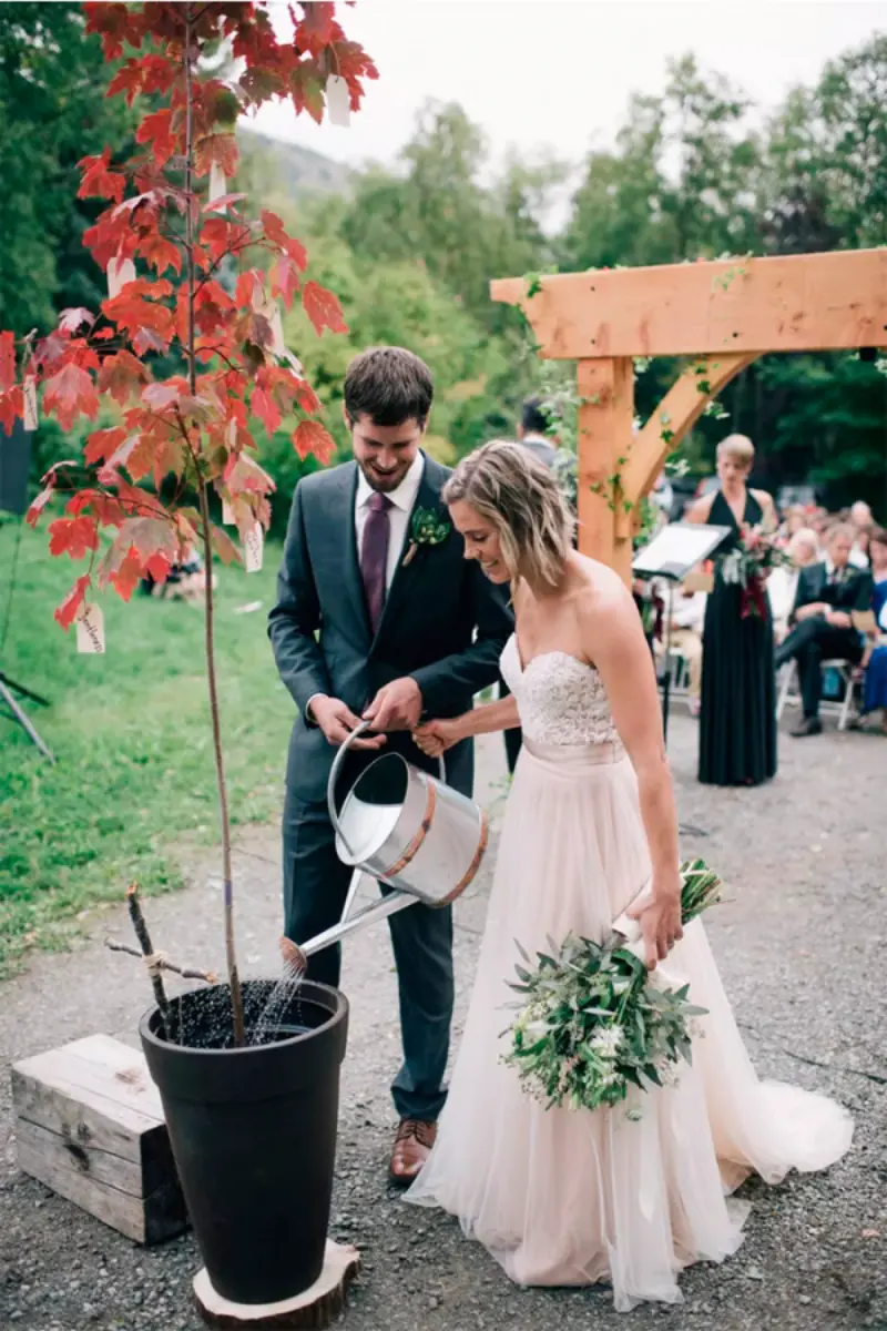 noivos regando planta em vaso durante o ritual da árvore em cerimônia