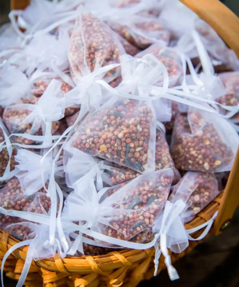  semente para passarinho para saída dos noivos