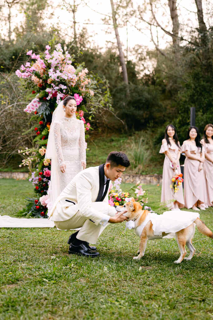 noivos e cachorro no altar