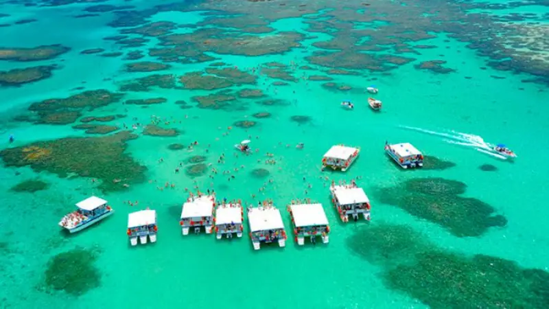 vista área de Maragogi