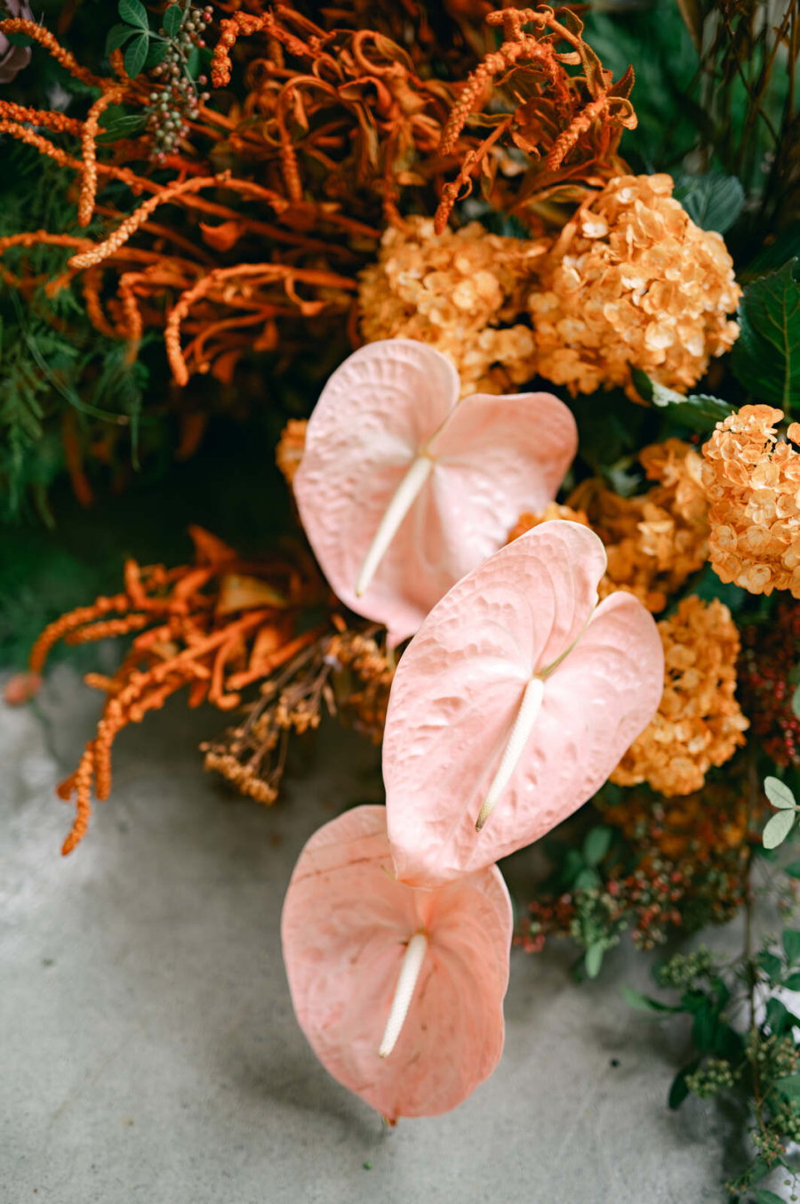  editorial-espaco-acuri (1)