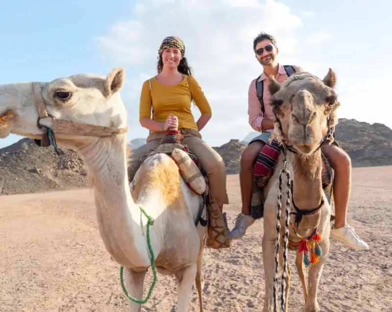 casal andando de camelo em viagem de lua de mel no Egito