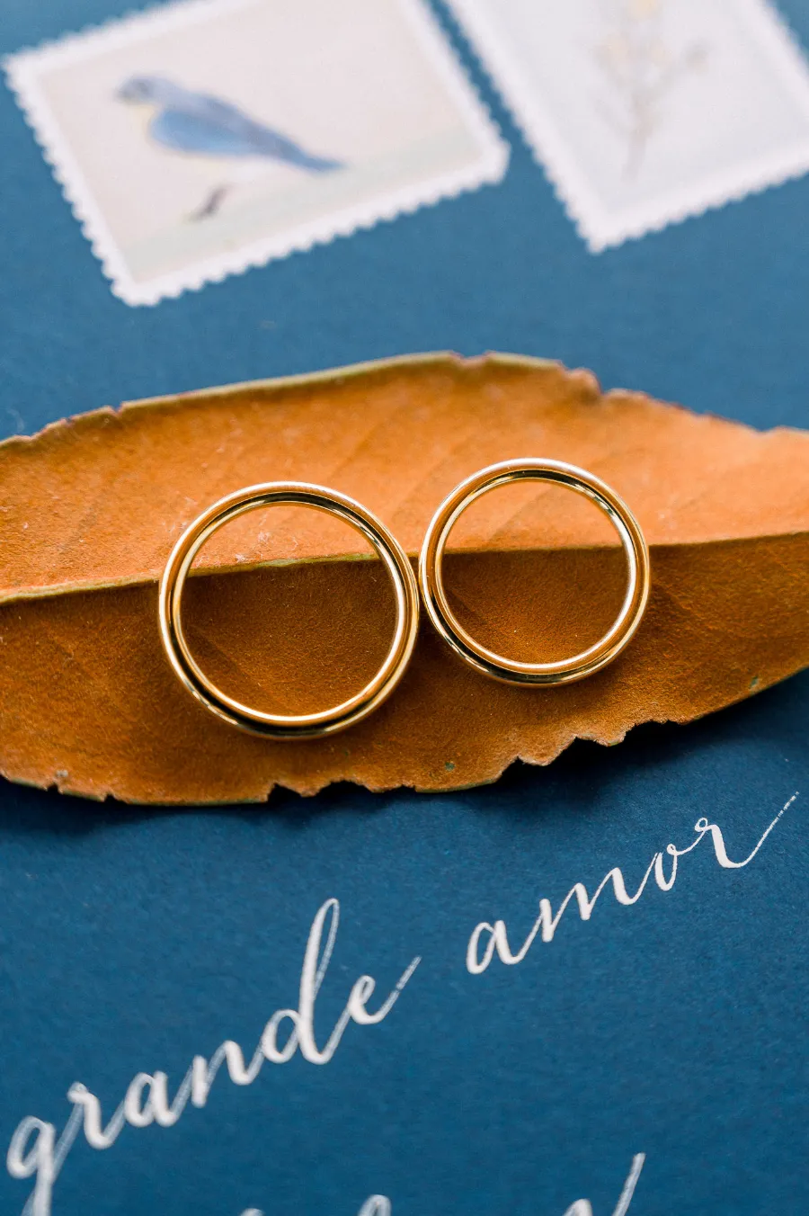 alianças sobre flha