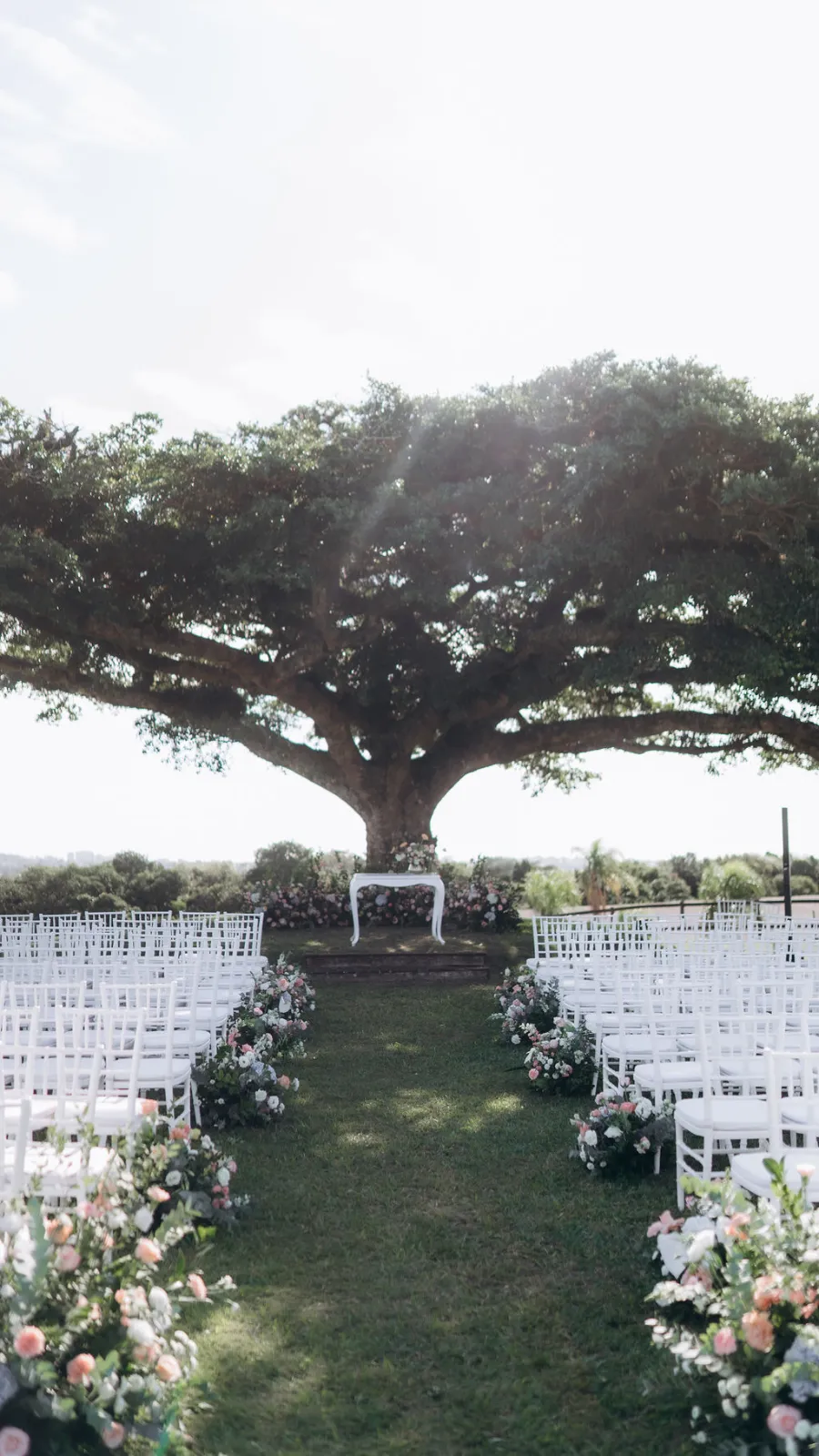 altar de casamento minimalista debaixo de árvore