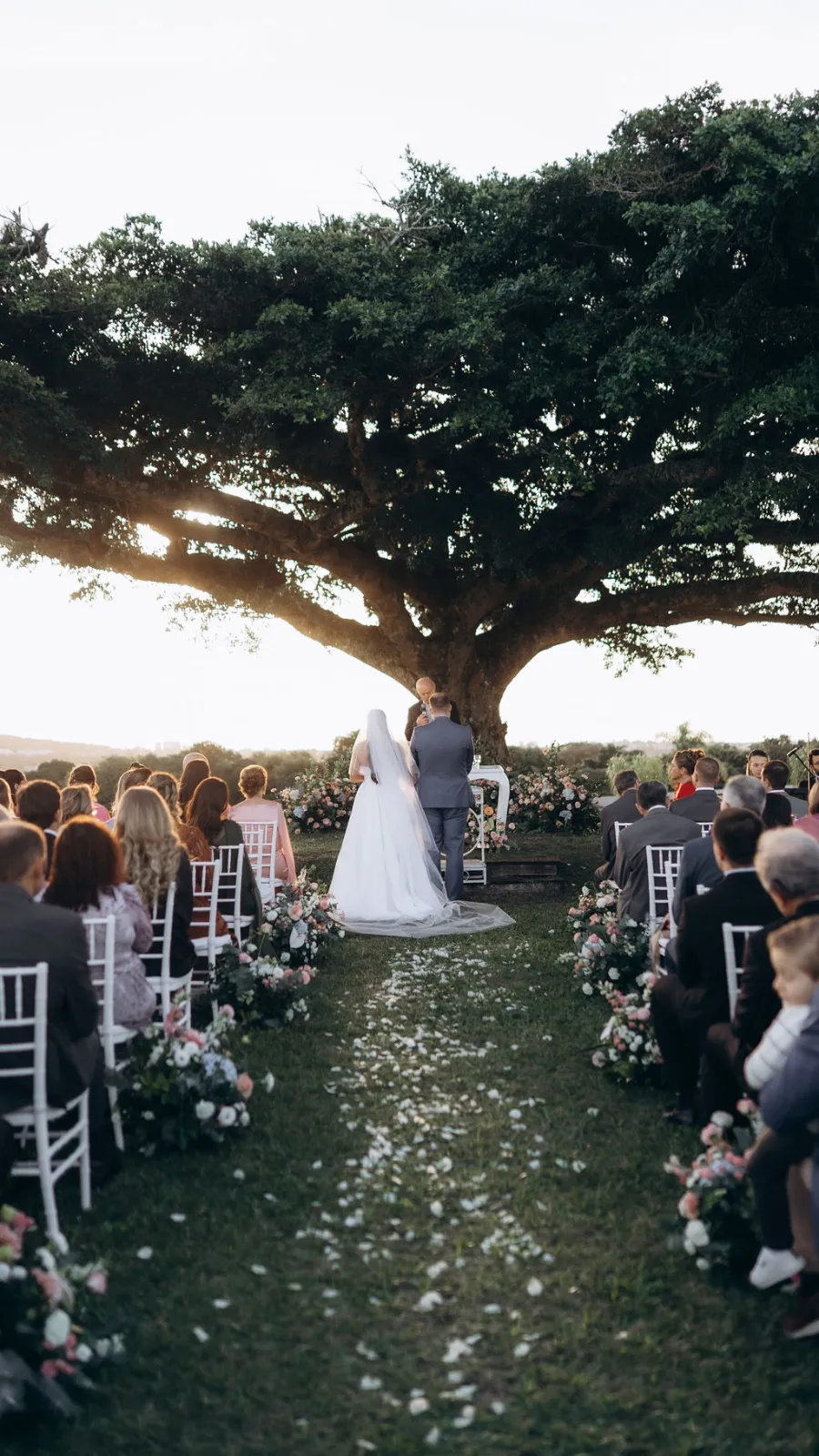 noivos na cerimonia de casamento ao ar livre debaixo de arvore