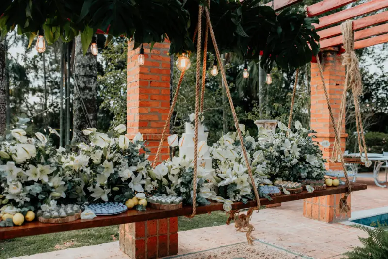 imagem 11 fornecedor: Sítio Preciosa Semente