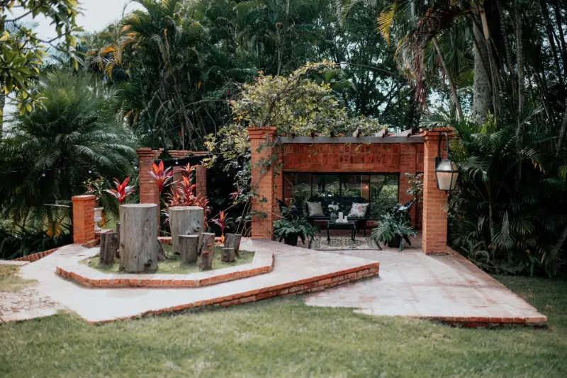 imagem 9 fornecedor: Sítio Preciosa Semente