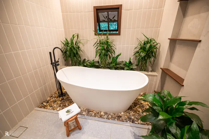 imagem 13 fornecedor: Sítio Preciosa Semente