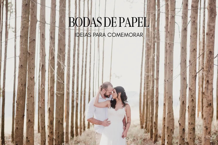 casal abraçado nas bodas de papel