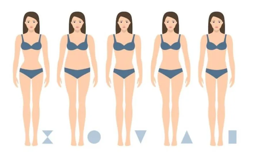 ilustrações com biotipos femininos