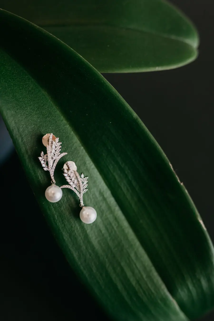 Dois brincos prateados com formato de galho e pequenas folhas cravejadas de pedras, finalizados com uma pérola na ponta, posicionados sobre uma grande folha verde.