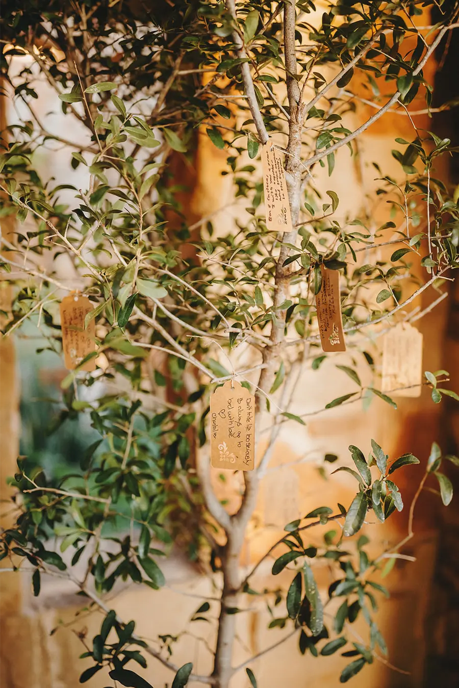 Um pequeno árvore com etiquetas de papel penduradas nos galhos, cada uma contendo mensagens escritas pelos convidados.