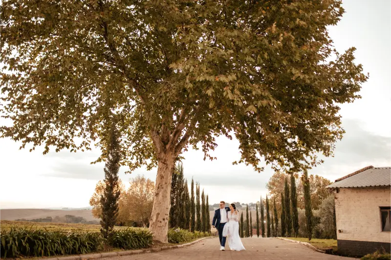 imagem 20 fornecedor: Vinícola Famiglia De Bona