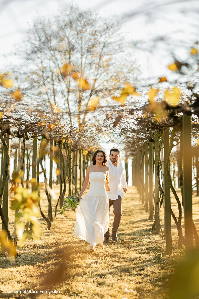 imagem 6 fornecedor: Vinícola Famiglia De Bona