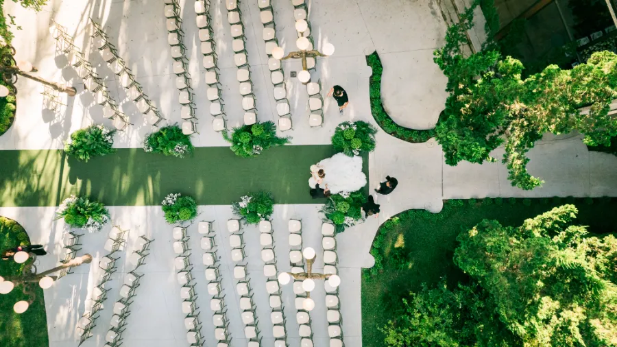 vista de cima de jardim
