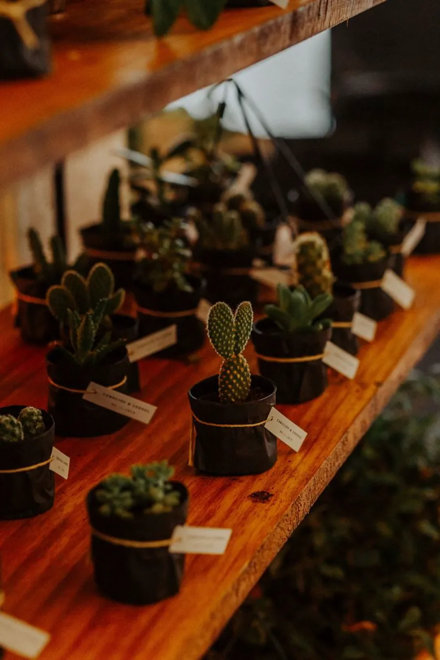 vasinhos com suculentas para casamento verde petroleo