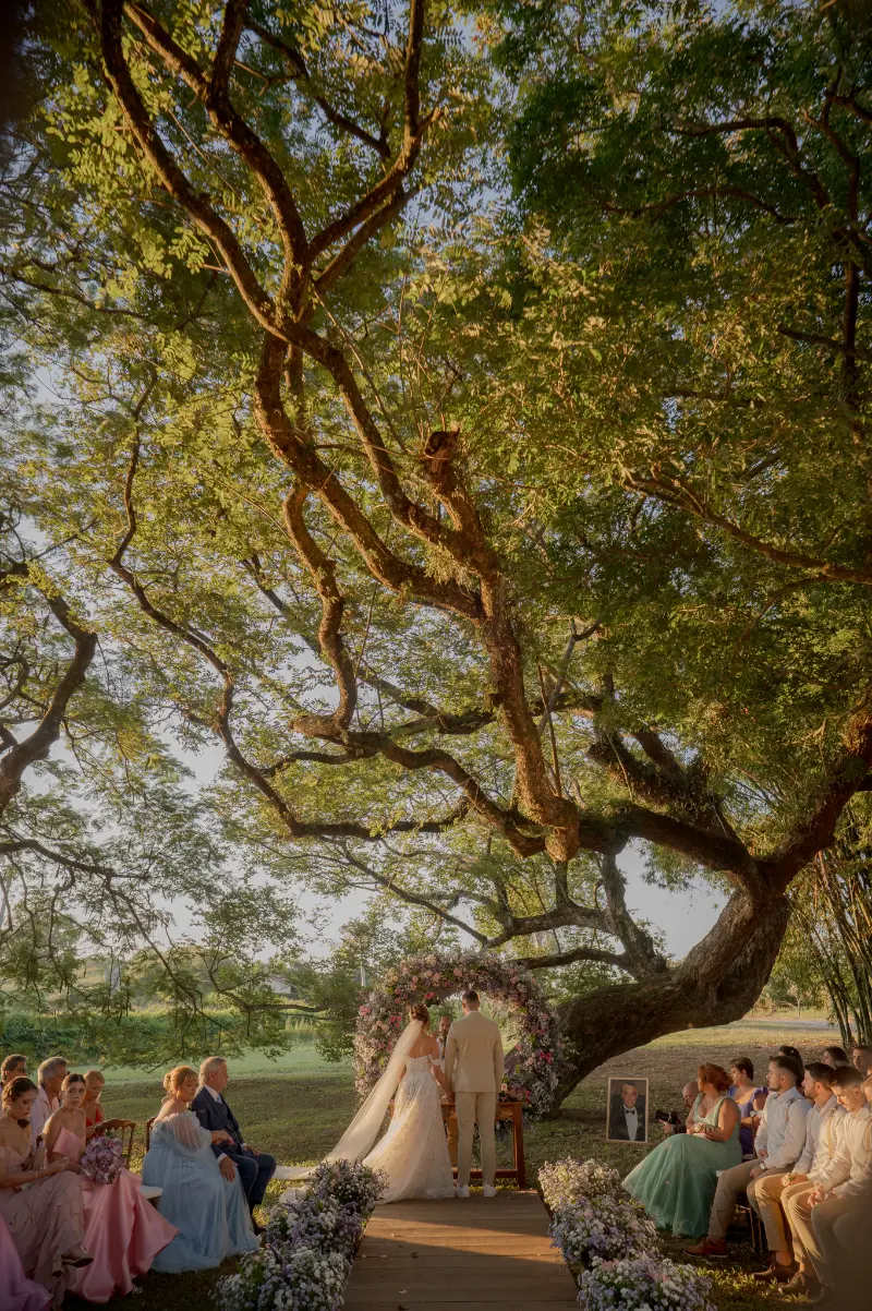 imagem 15 fornecedor: André Vieira Fotógrafo