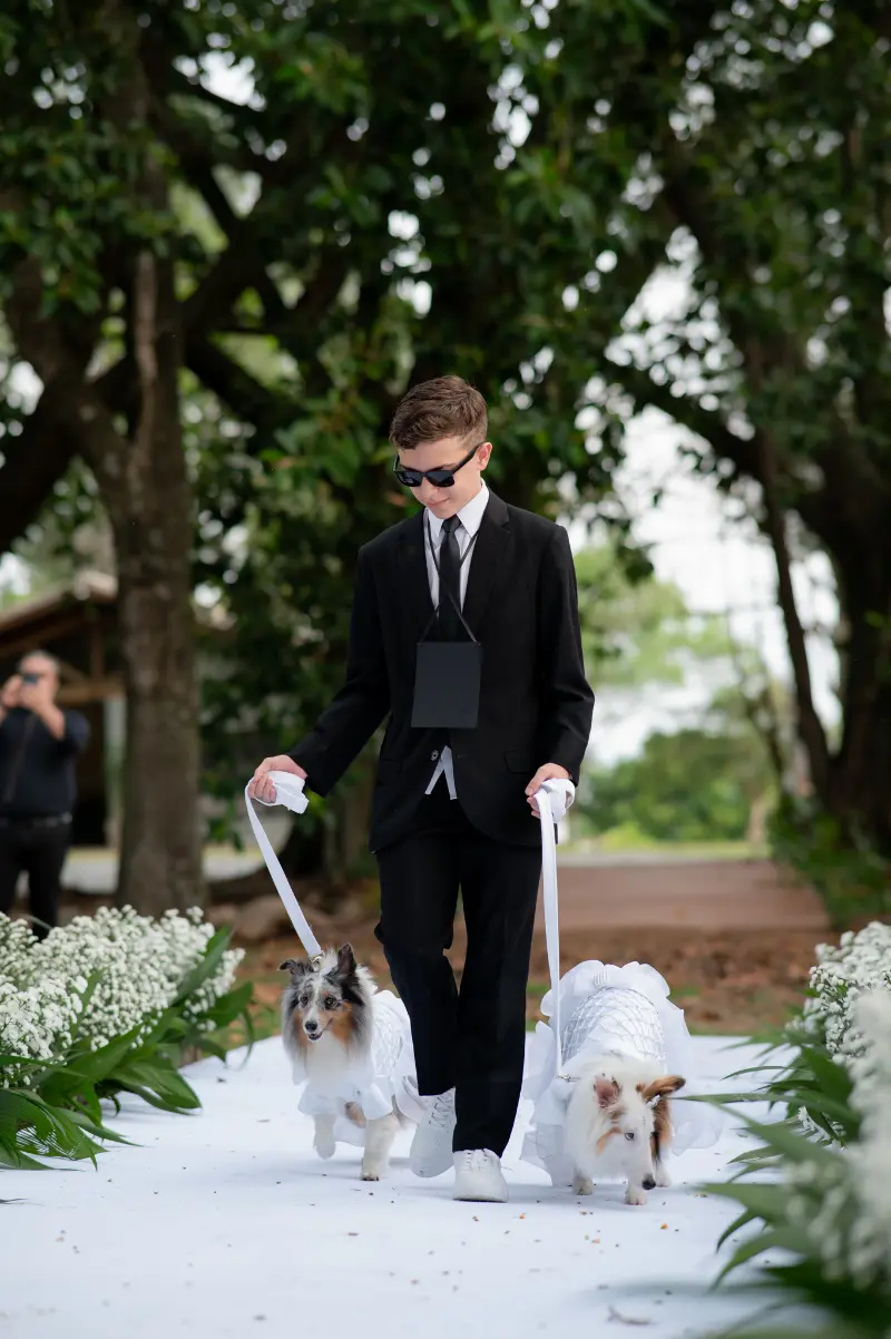 imagem 19 fornecedor: André Vieira Fotógrafo