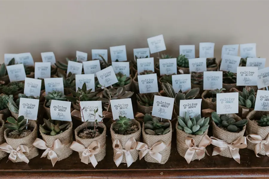Vasos de suculentas embalados em juta com laços de fita e plaquinhas escritas "Cultive o amor"