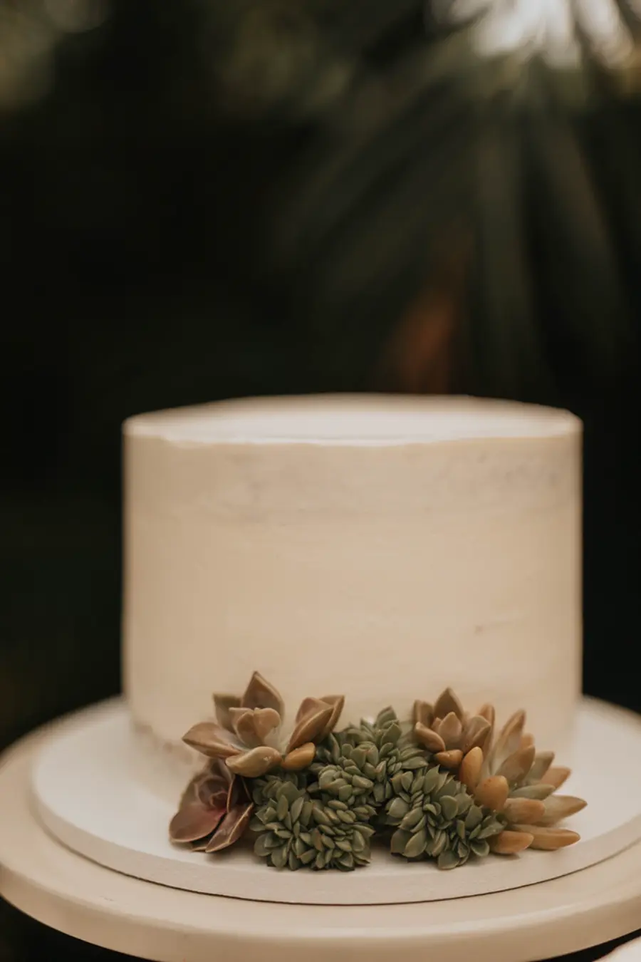 Bolo simples decorado com suculentas na base.