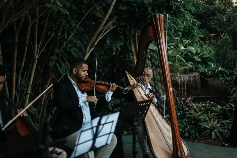 imagem 1 fornecedor: Musical Dream Orquestra