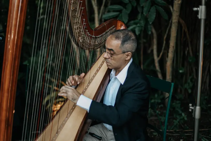 imagem 15 fornecedor: Musical Dream Orquestra