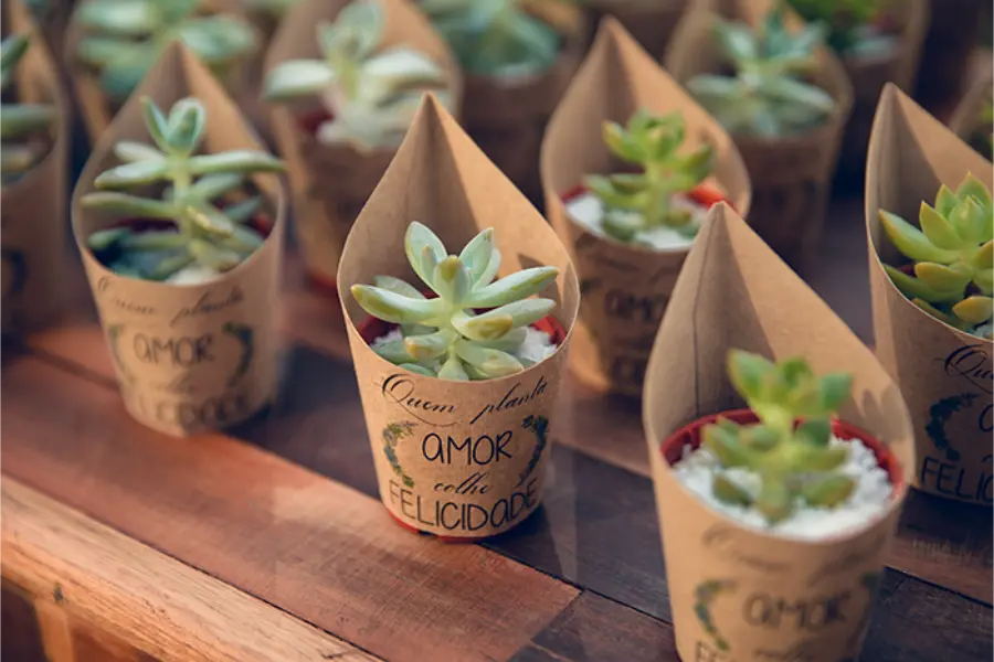 Lembrancinhas de casamento com suculentas em embalagens de papel kraft personalizadas com a frase "Quem planta amor colhe felicidade".