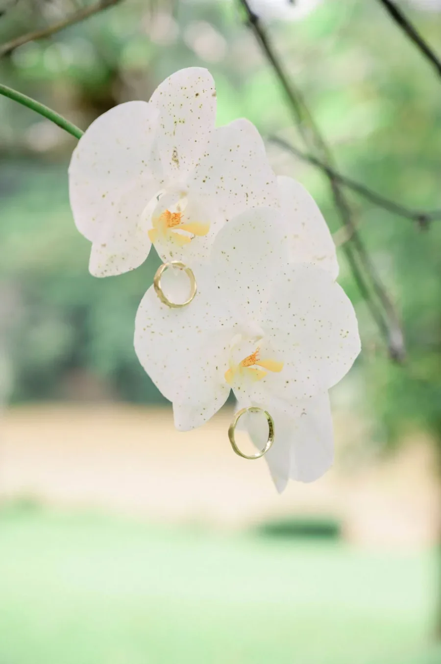 Vestido Minimalista: Como Tendência Virou Destaque em Casamento