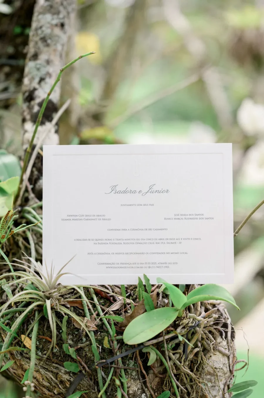  casamento-minimalista (7)