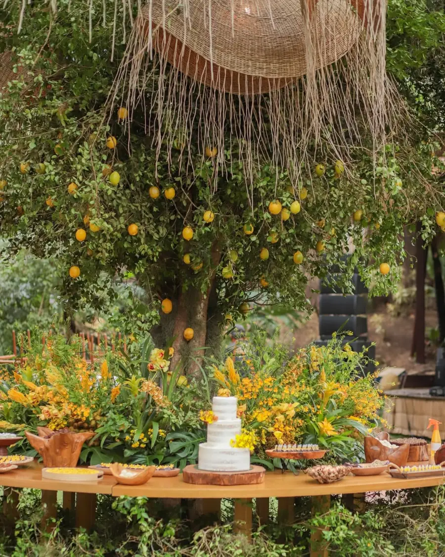 imagem 8 fornecedor: Andrezza Côrtes