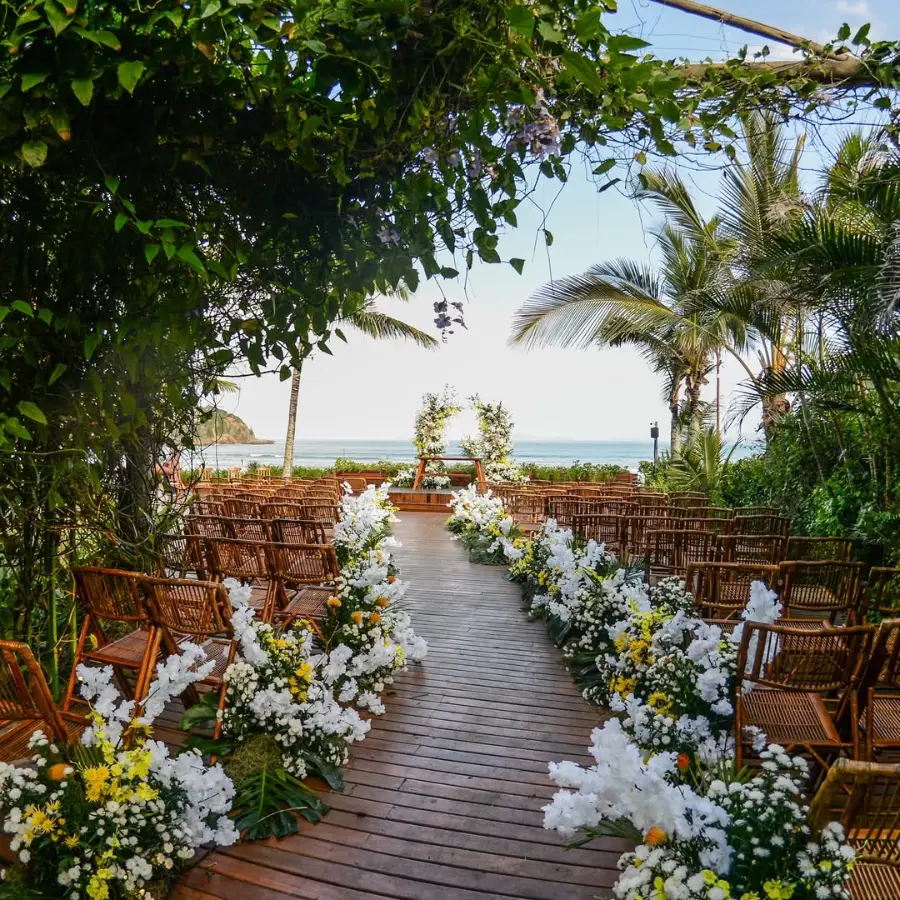 imagem 1 fornecedor: Andrezza Côrtes