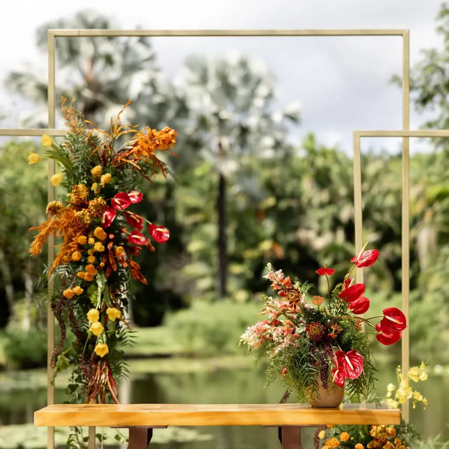 imagem 9 fornecedor: Andrezza Côrtes