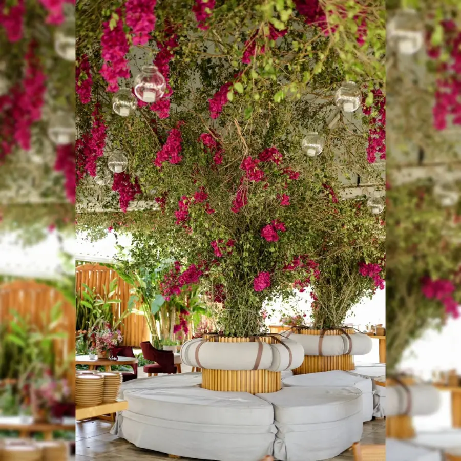 imagem 11 fornecedor: Andrezza Côrtes