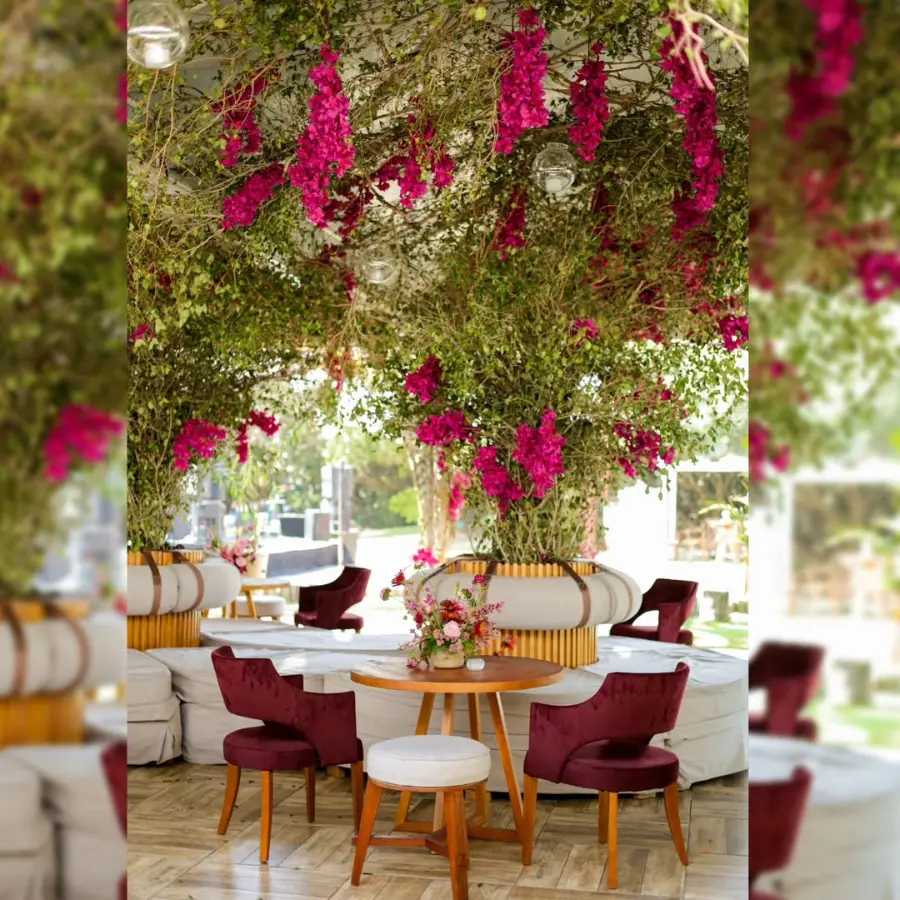 imagem 20 fornecedor: Andrezza Côrtes