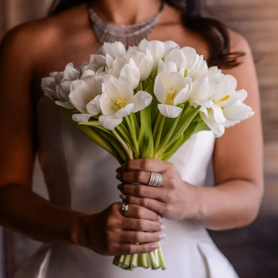 imagem 5 fornecedor: Andrezza Côrtes