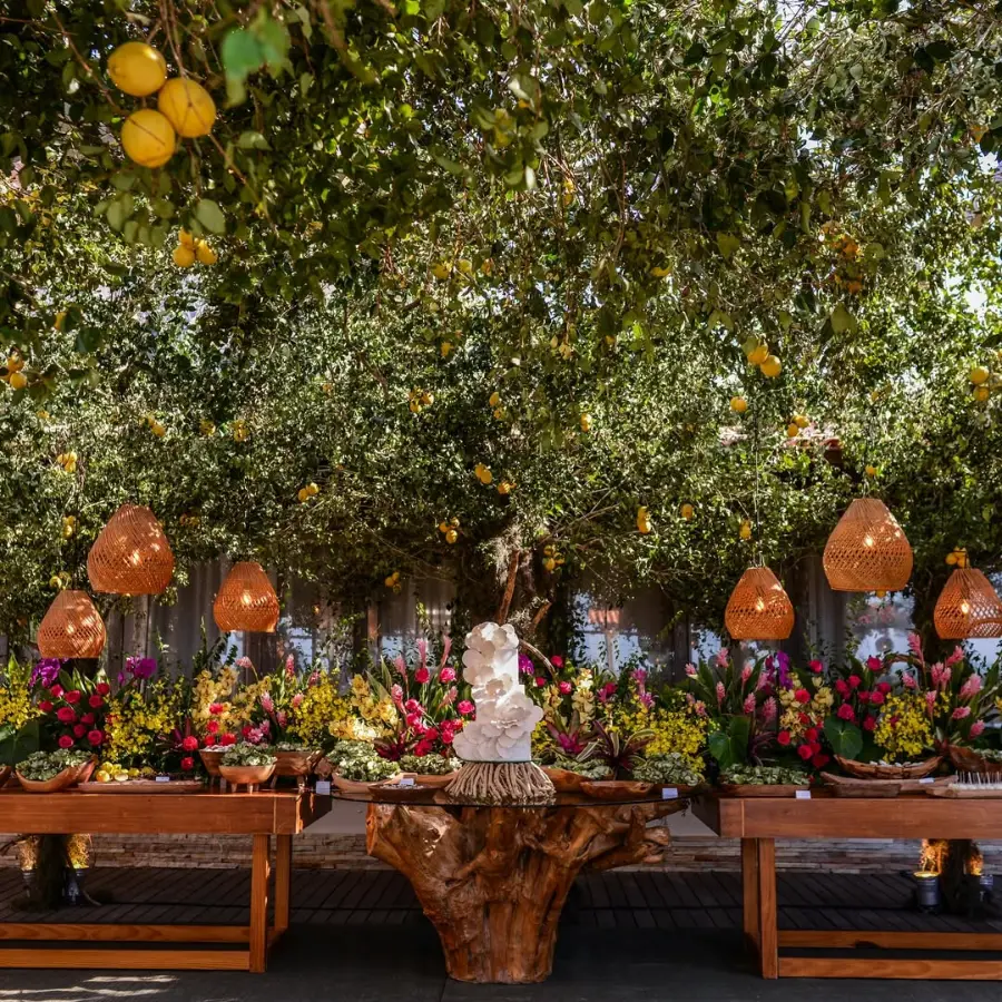 imagem 23 fornecedor: Andrezza Côrtes