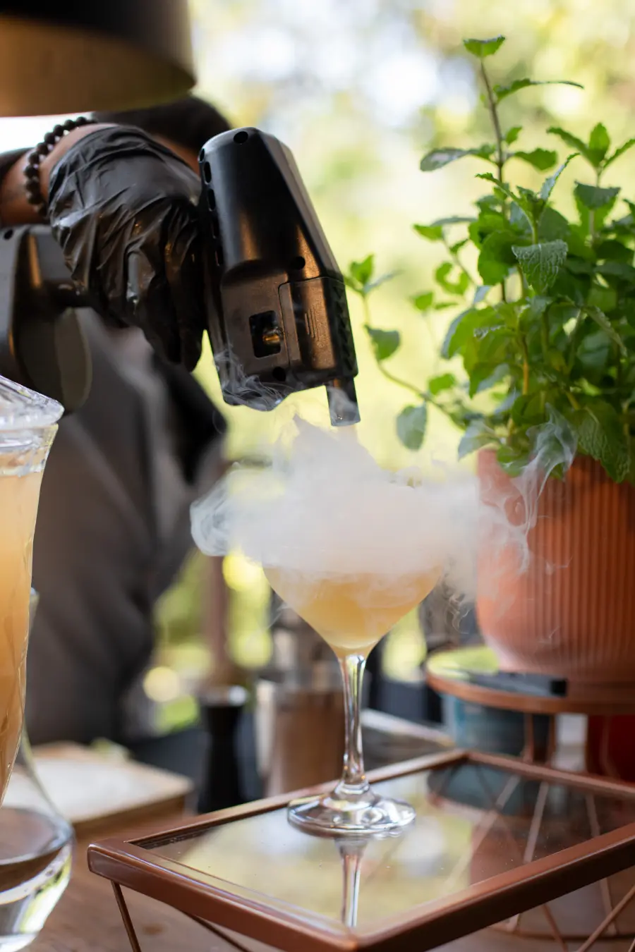 Bloom Lápis de Noiva: um dia para fornecedores florescerem em conexão