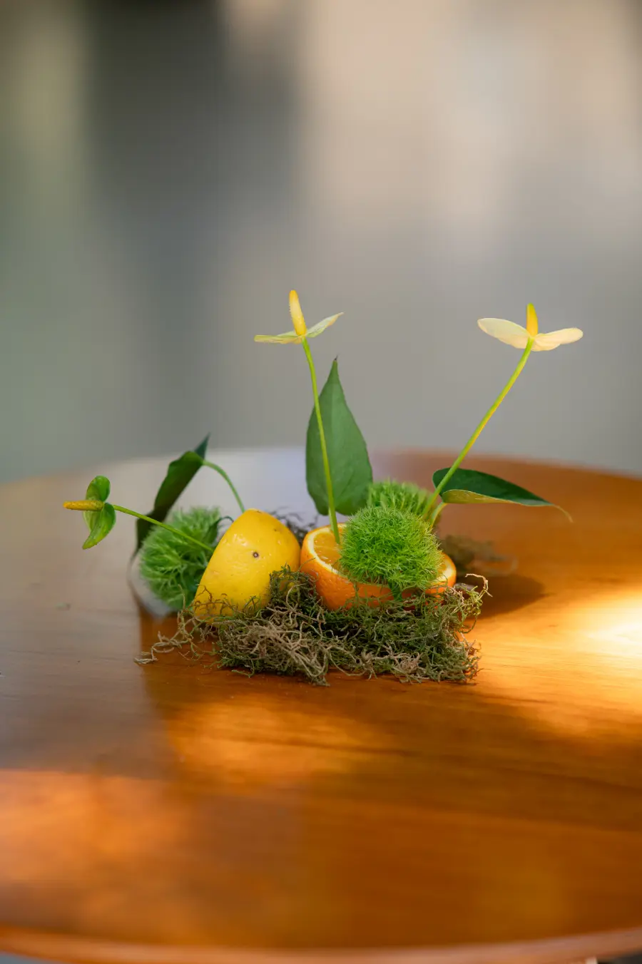 Bloom Lápis de Noiva: um dia para fornecedores florescerem em conexão