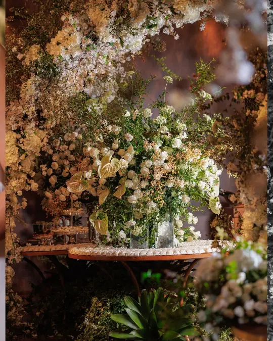 imagem 5 fornecedor: Priscilla Nakamura