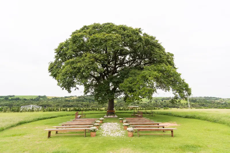 imagem 5 fornecedor: RD Decor