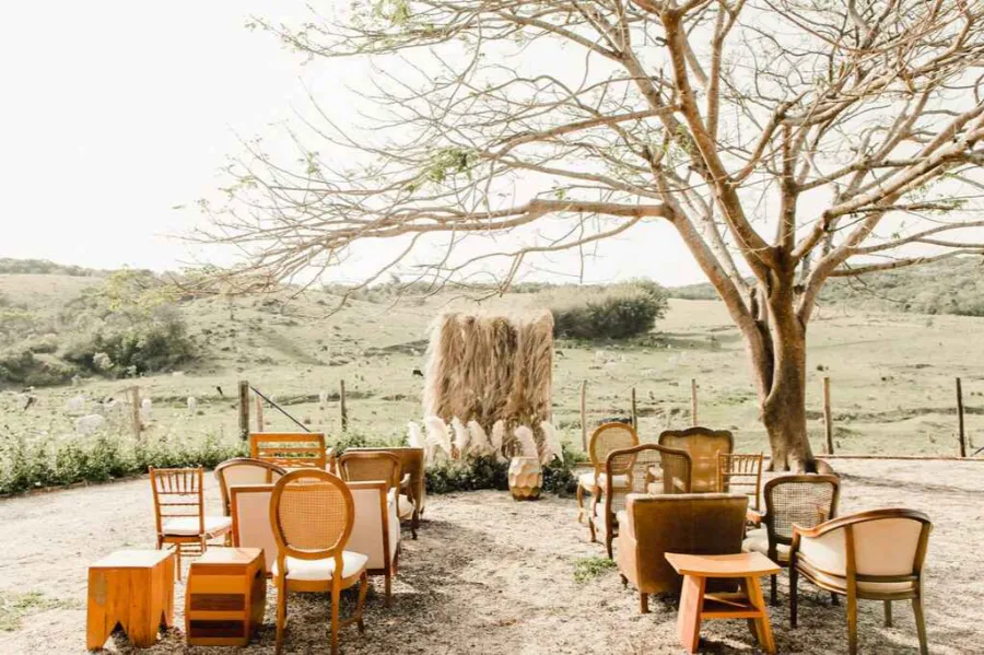 decoração de casamento ao ar livre com capim dos pampas e cadeiras de diferentes modelos