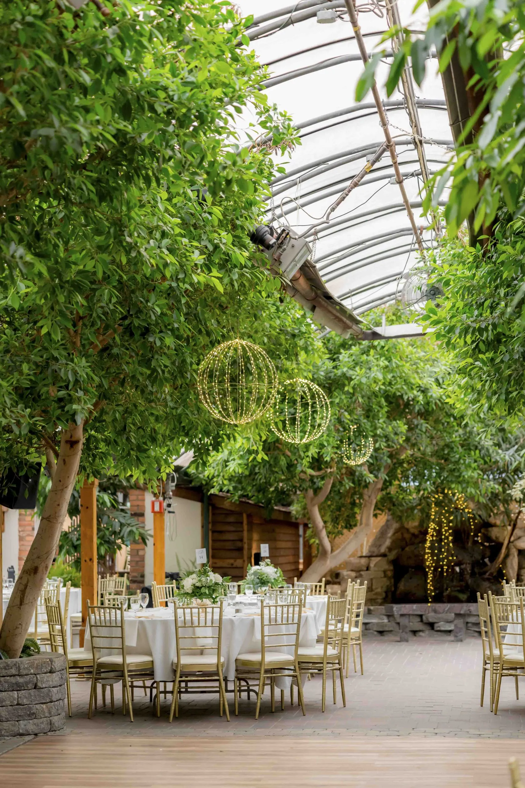 espaço de casamento com plantas e luzes