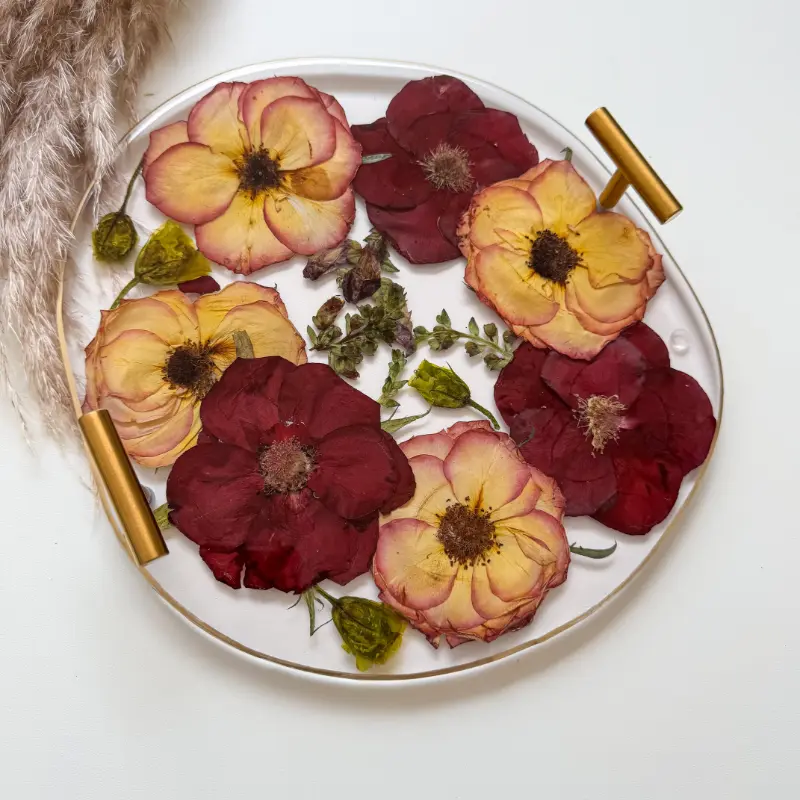 imagem 13 fornecedor: SN Resina